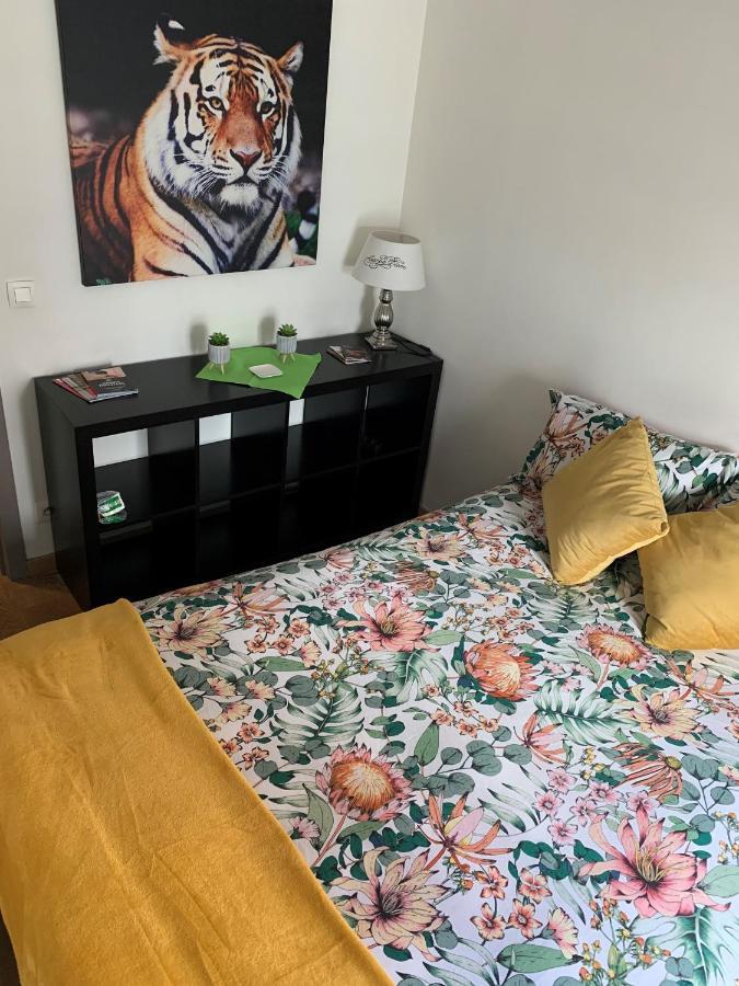 Bnb Antwerp Centrum מראה חיצוני תמונה