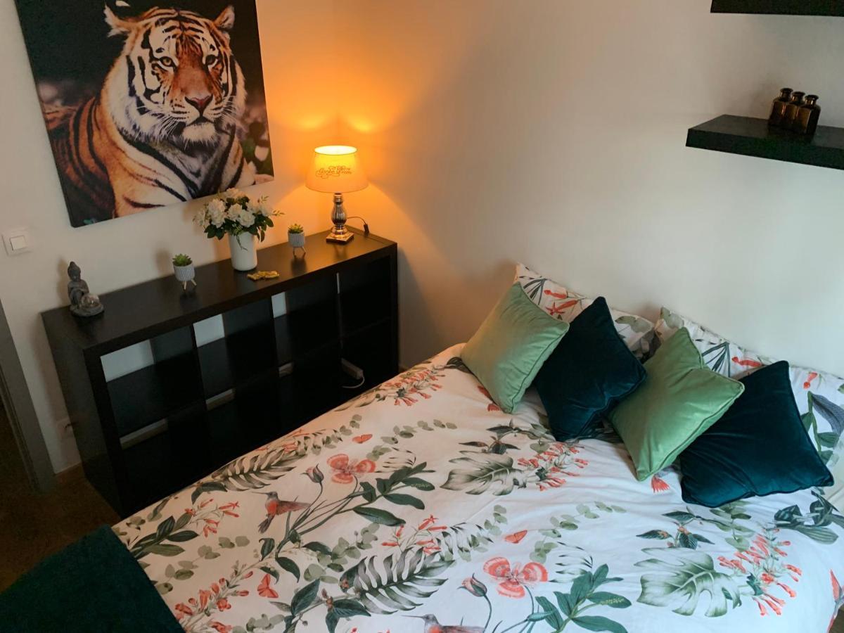 Bnb Antwerp Centrum מראה חיצוני תמונה