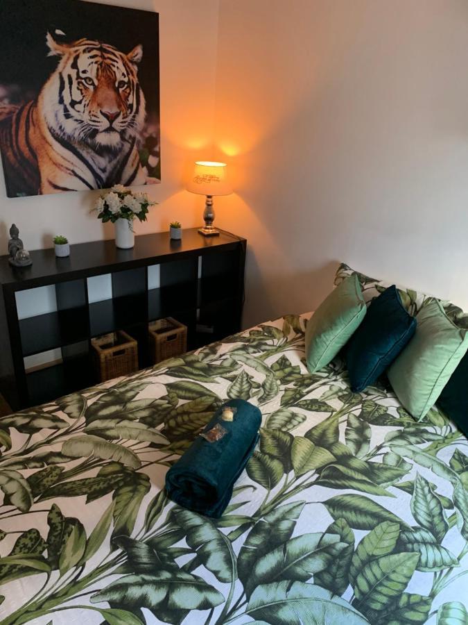 Bnb Antwerp Centrum מראה חיצוני תמונה